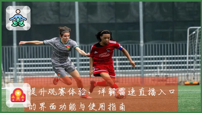 提升观赛体验，详解雷速直播入口的界面功能与使用指南