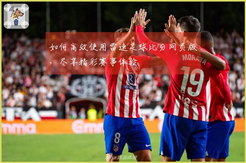 如何高效使用雷速足球比分网页版，尽享精彩赛事体验