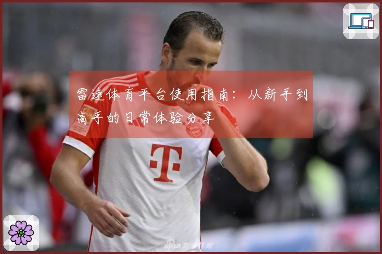 雷速体育平台使用指南：从新手到高手的日常体验分享