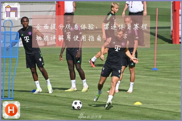 全面提升观看体验，雷速体育赛程功能详解与使用指南